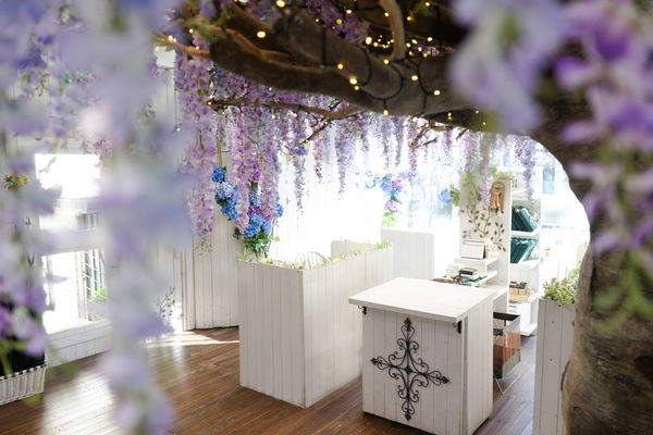 ハムリ藤の店内