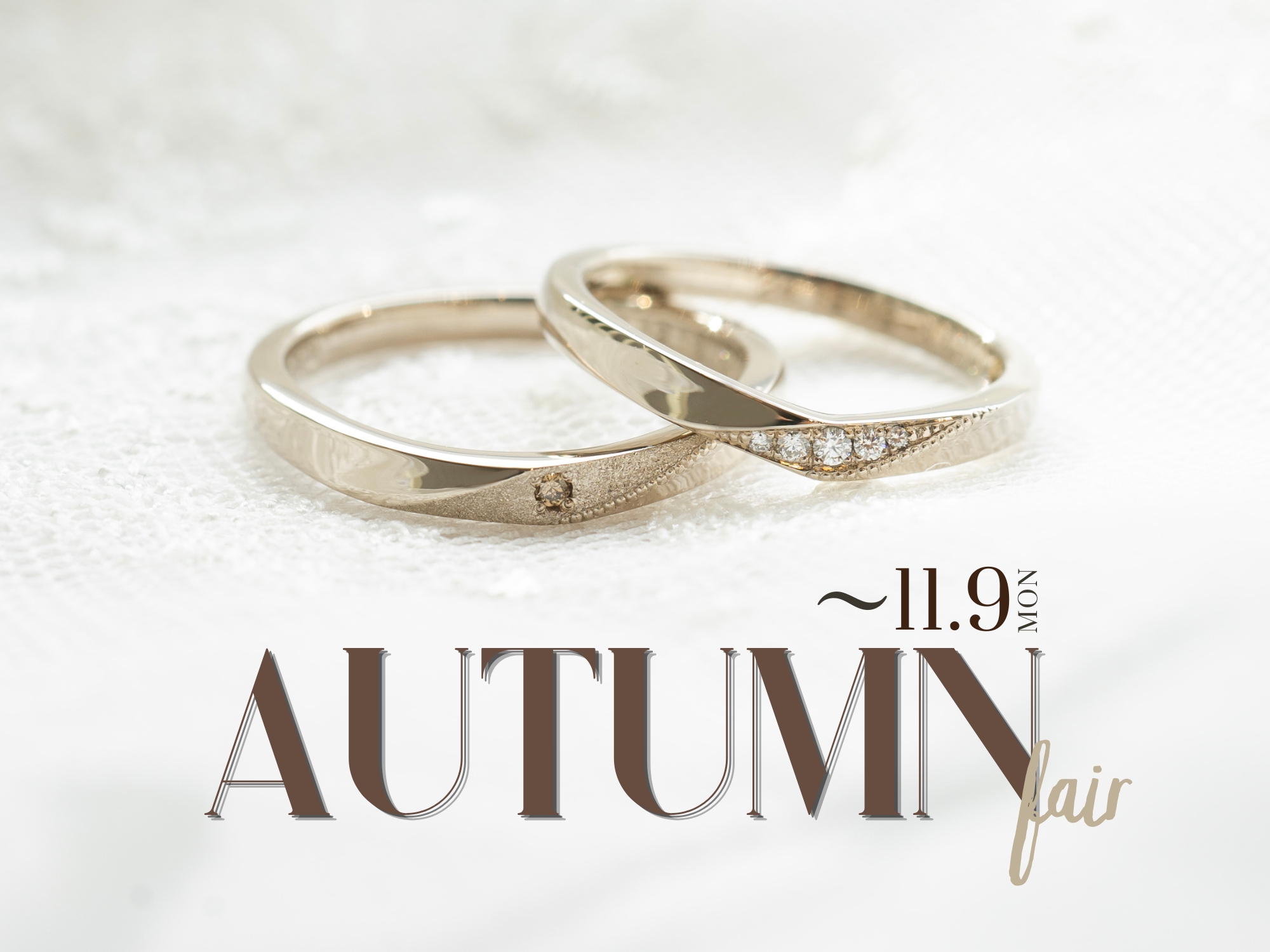 2026 AUTUMN Fair 結婚指輪 Hamriハムリ東京表参道