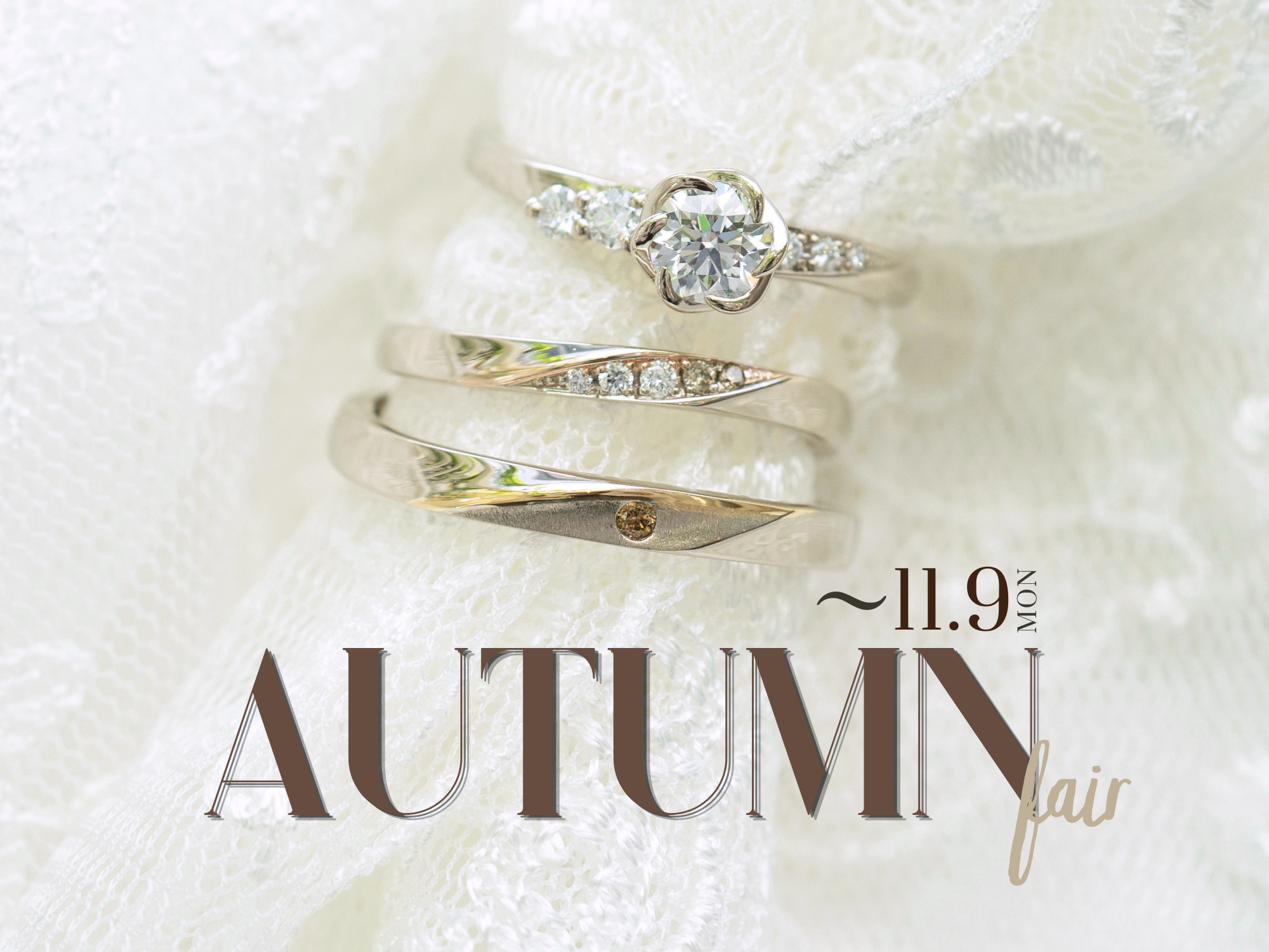 期間限定 AUTUMN Fair 開催中 〜11月9日