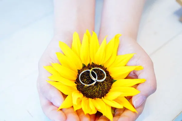 結婚指輪は誰が買う？費用分担・支払い方法と先輩カップルの実例